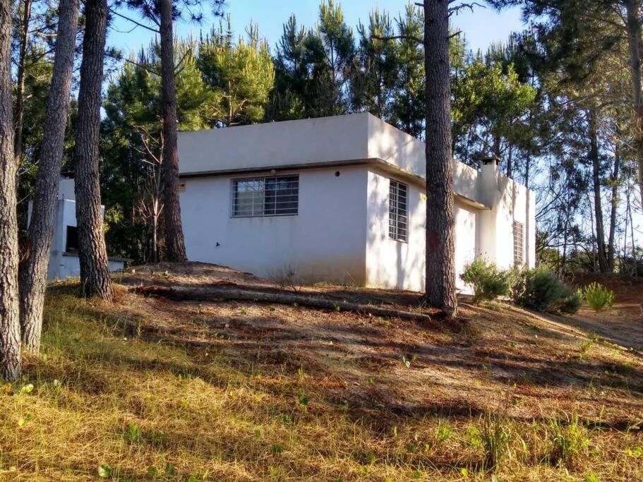 a white house in the woods with trees at Casa en La Esmeralda Uruguay in La Esmeralda 