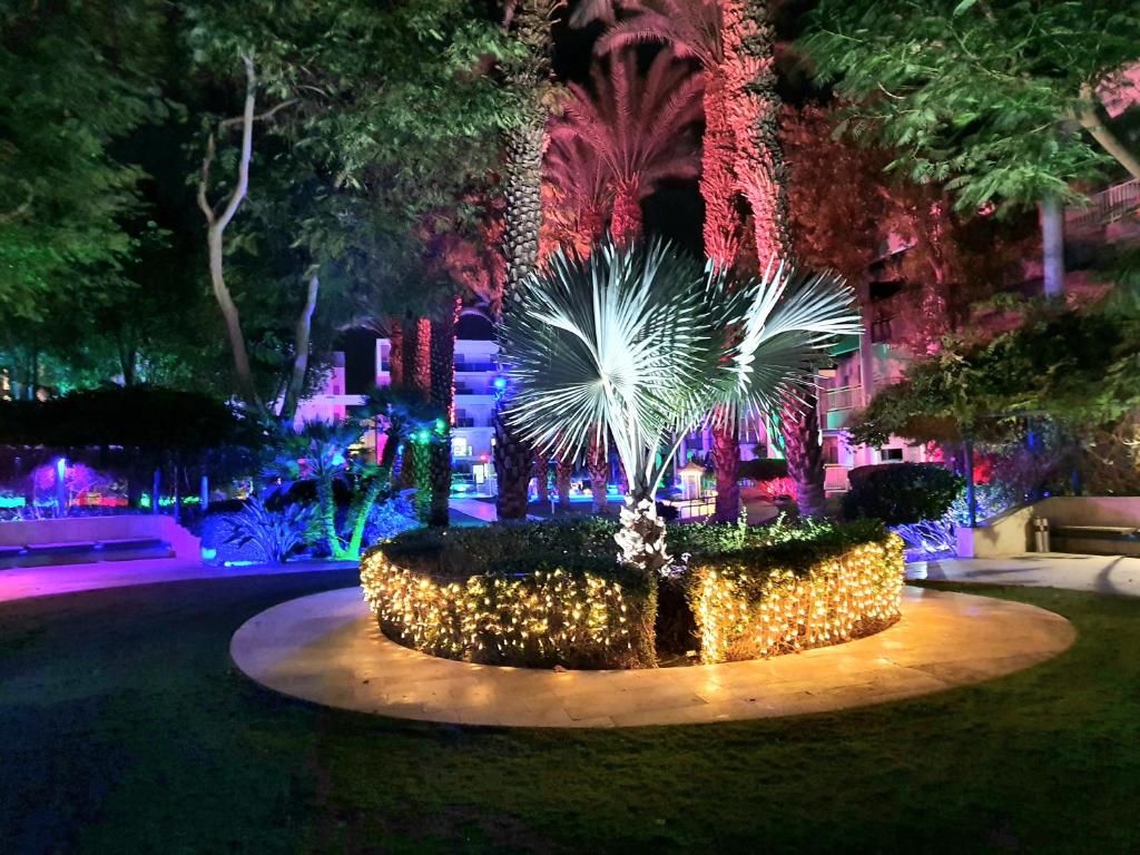 Zahrada ubytování Barak Royal Suites VIP 94 - חמש דקות מהים ומהטיילת
