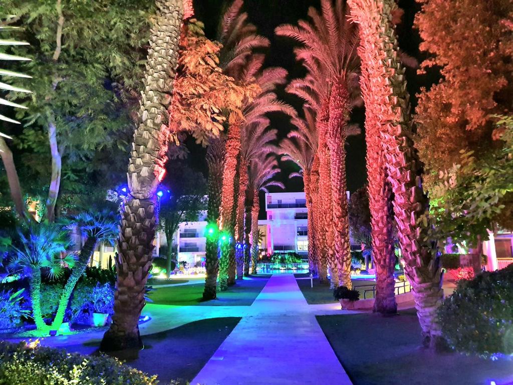 Zahrada ubytování Barak Royal Suites VIP 94 - חמש דקות מהים ומהטיילת