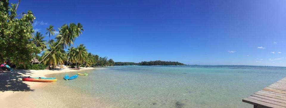 Beach de rêve de moorea - photo 10 - Moorea, Polynésie