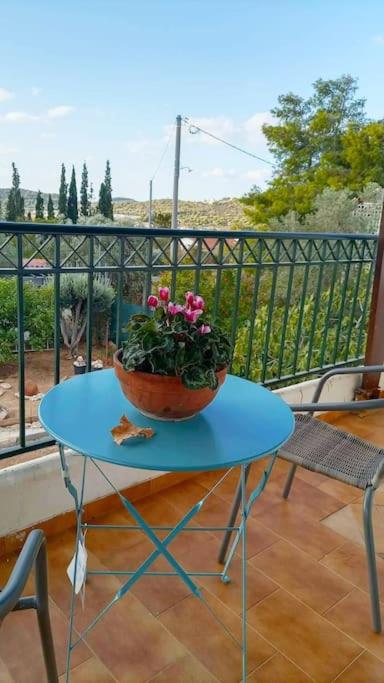 Marco Polo's Mooring Cozy Navy House - Appartement D'une Chambre