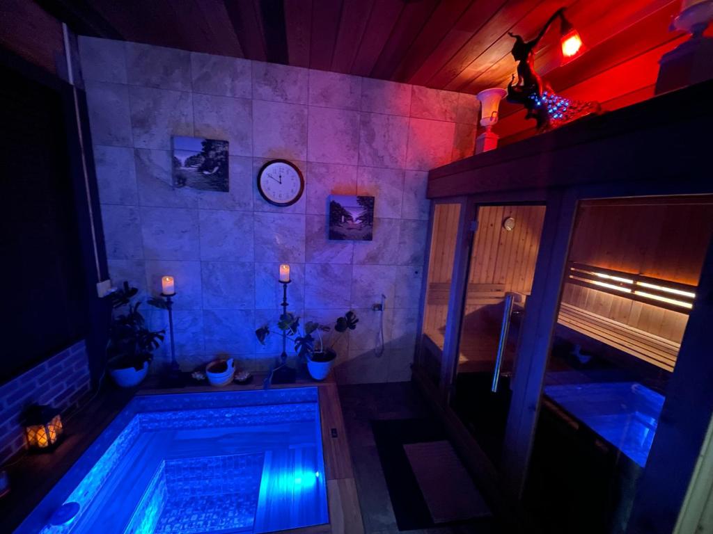 Mountain Lodge Estate - Deluxe Queen Studio