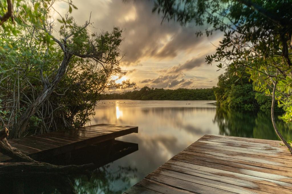 a wooden dock on a lake with a sunset at Yaxchen Tulum Cabañas & Cenote in Tulum