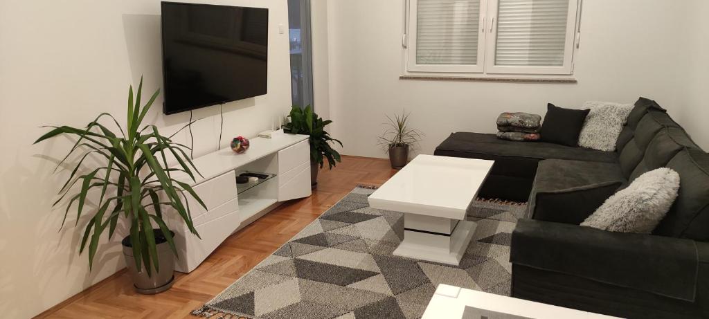 - un salon avec un canapé et une télévision dans l'établissement Apartman Mateja, à Trebinje
