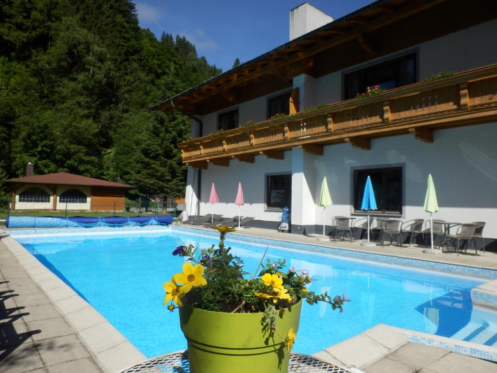 ein Hotel mit einem Pool und einem Blumentopf in der Unterkunft Kurcamping Erlengrund in Bad Gastein