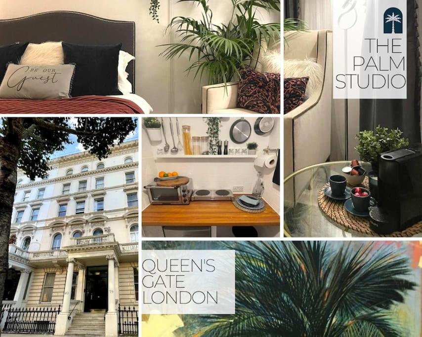 The Palm Studio Queen's Gate, London (updated prices 2024)