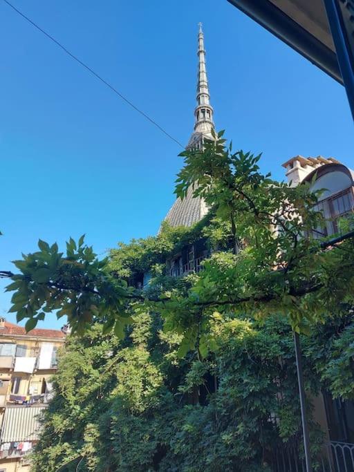 Appartamento sotto la Mole Antonelliana في تورينو: مبنى فيه برج فوق شجرة