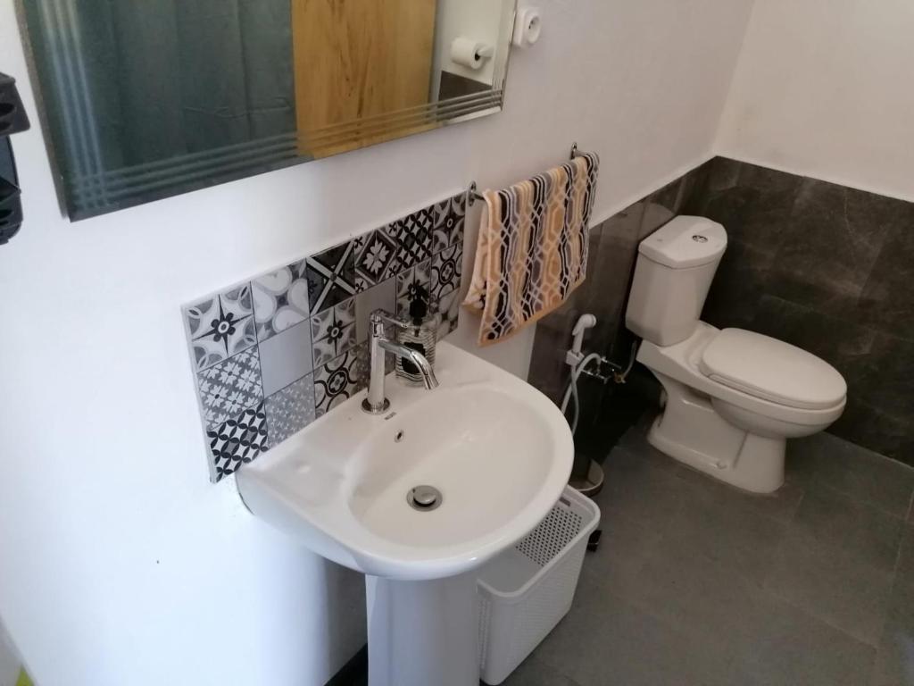 uma casa de banho com um lavatório, um WC e um espelho. em Honey Guesthouse em Pamplemousses Village