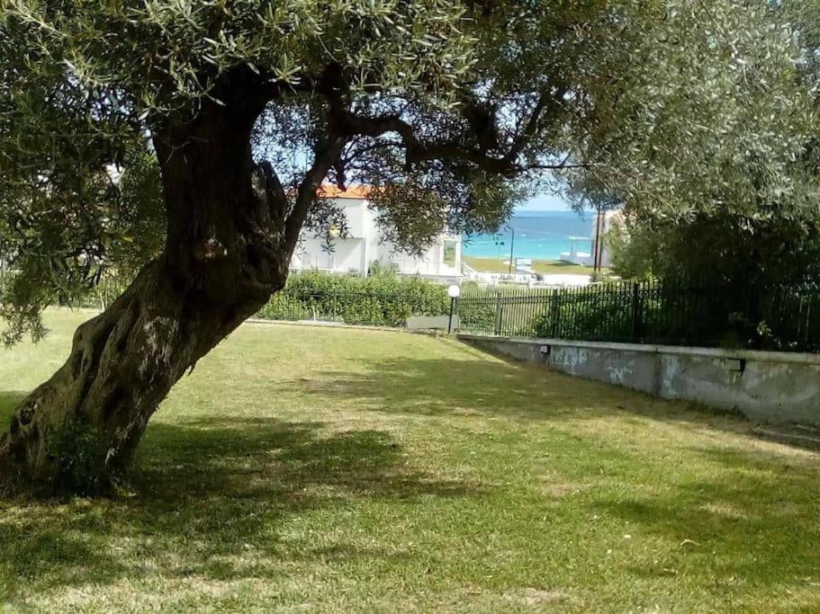 Príroda v okolí apartmánu