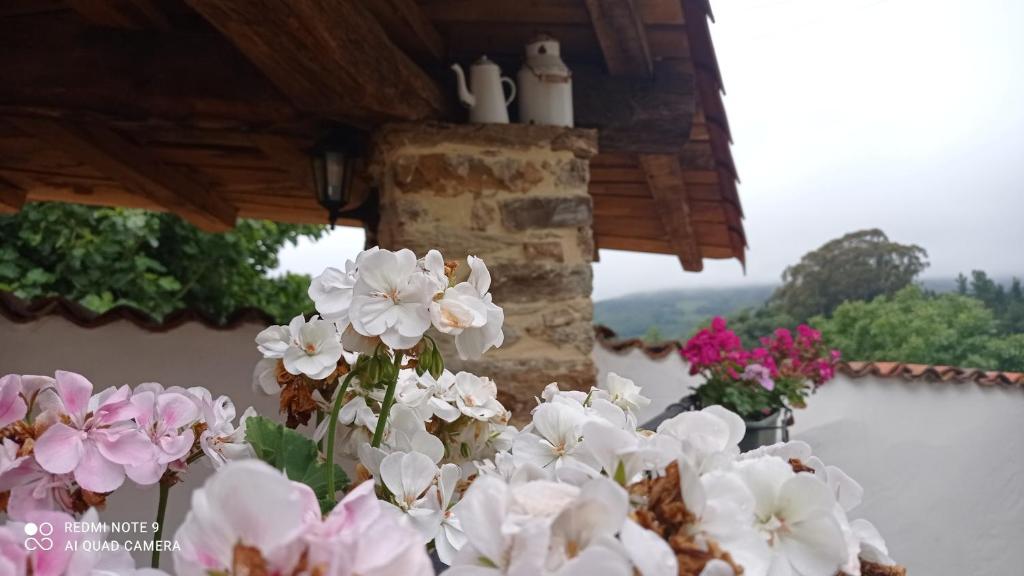 Widok na góry z tego apartamentu