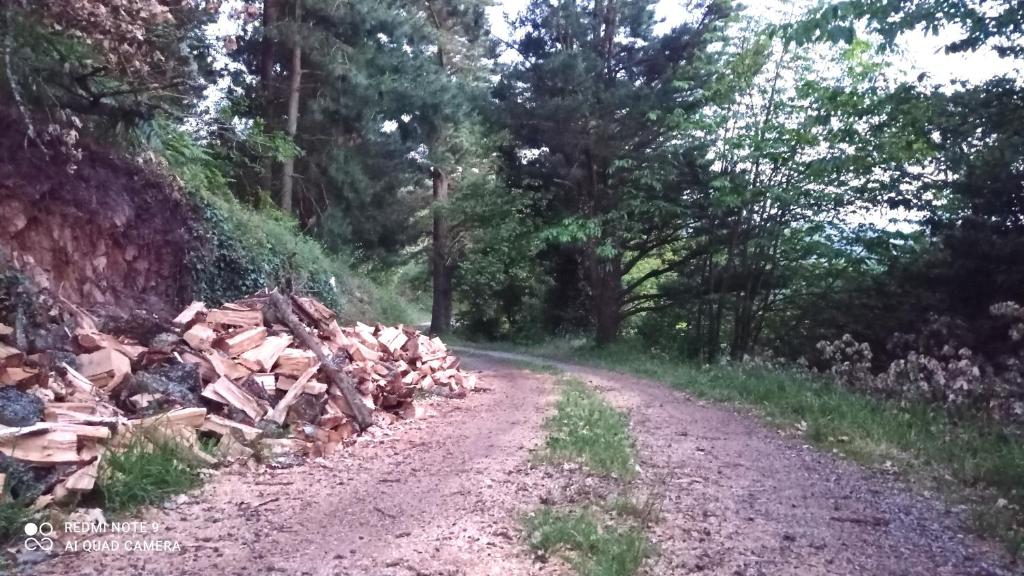 Przyroda w pobliżu tego apartamentu