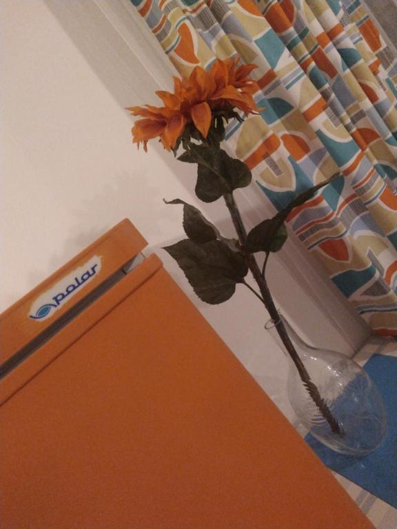 a vase with a flower in it on a table at Retro Art room in Lomnice nad Popelkou