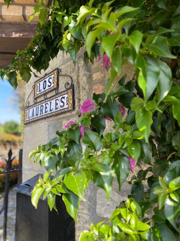 Certifikát, hodnocení, plakát nebo jiný dokument vystavený v ubytování Casa Los Laureles