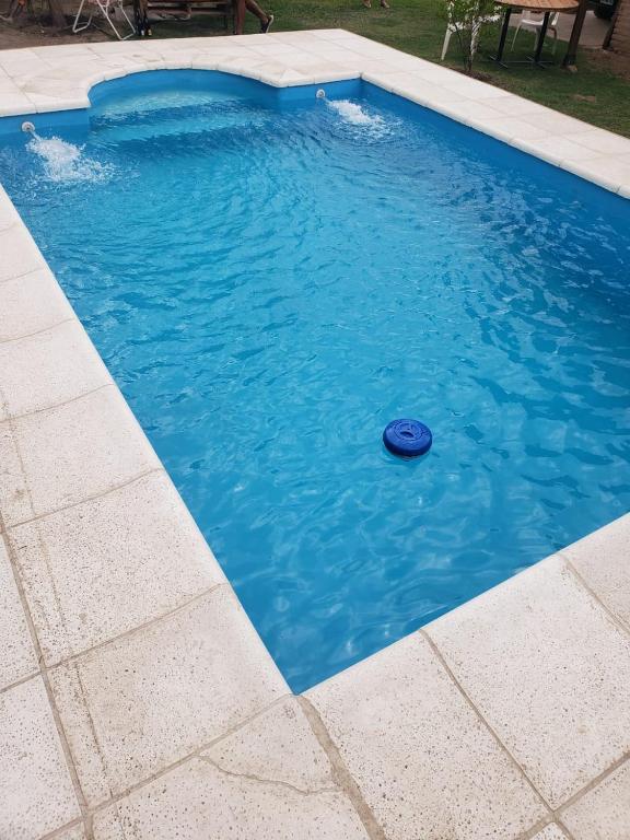 a frisbee in the water in a swimming pool at La casona in Merlo