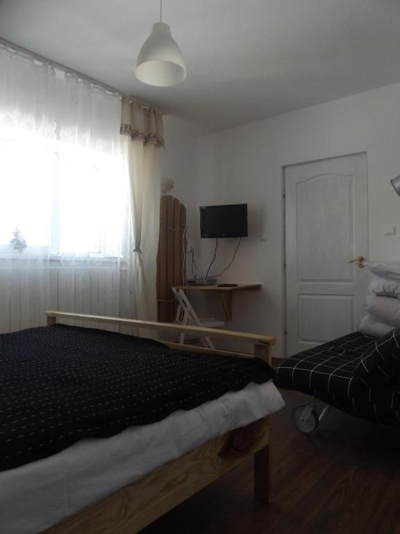 a bedroom with a bed and a television and a window at Cabana Telescaun in Petroşani