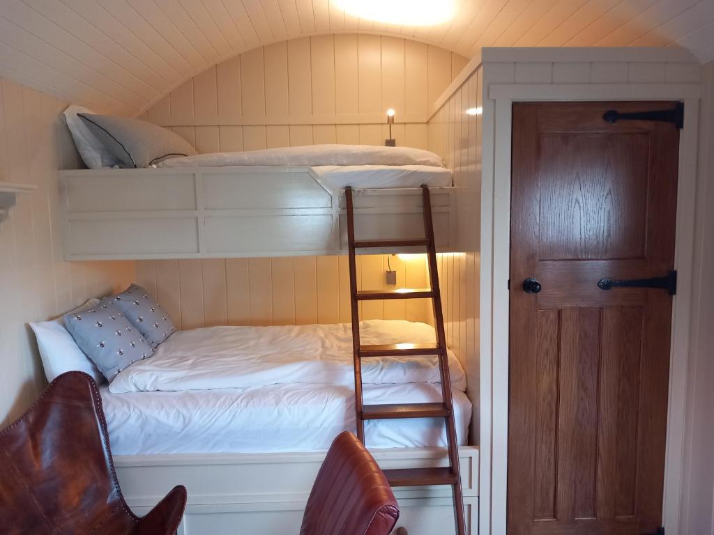 a small room with a bunk bed and a ladder at Delightful Shepherds Hut in Westport