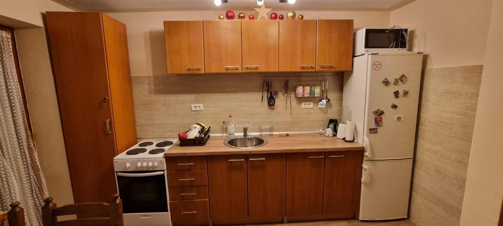 Kuchyň nebo kuchyňský kout v ubytování Vinogradski konak Belgrade, Sopot,Kosmaj