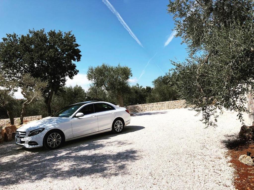 Zdjęcie z galerii obiektu Trullo Mamamè w mieście Cisternino