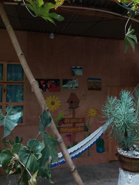 Jardín al aire libre en Posada Maná