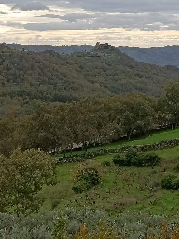 Príroda v okolí dovolenkového domu