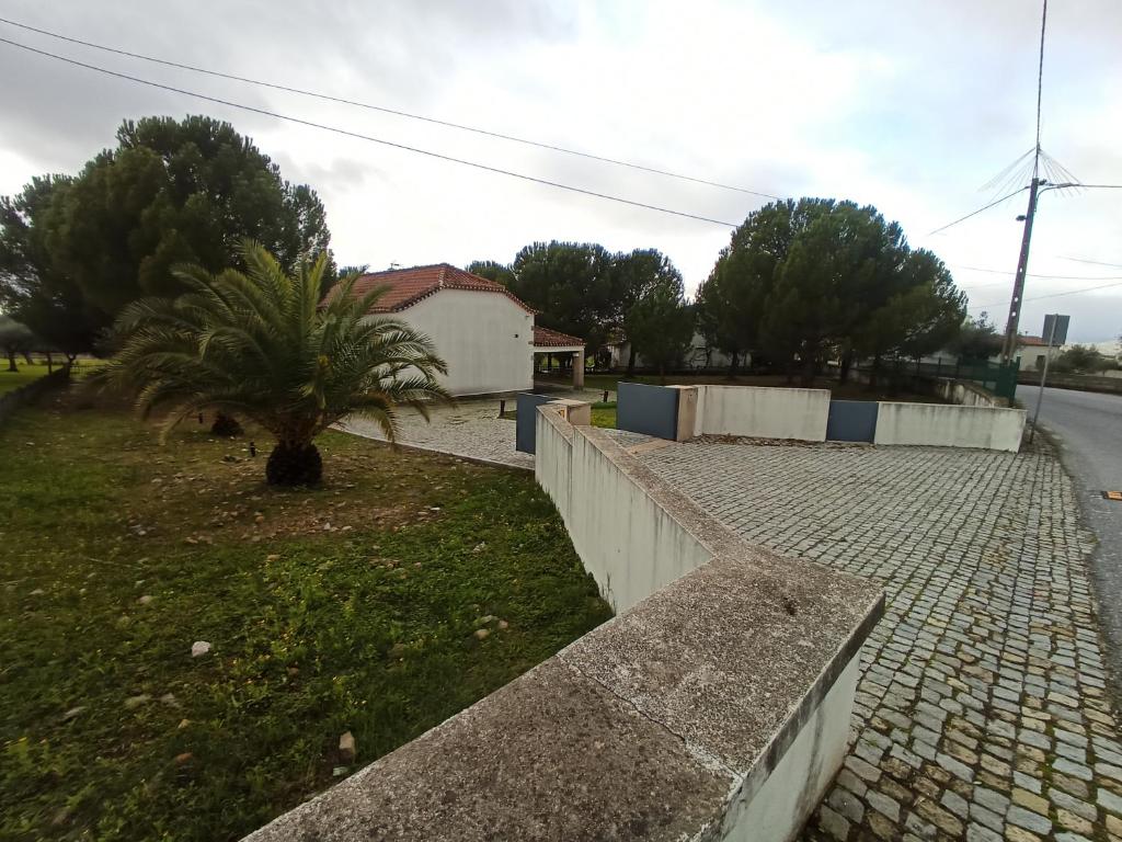 una calle con una palmera junto a una pared en CASA DE PERAIS, en Perais