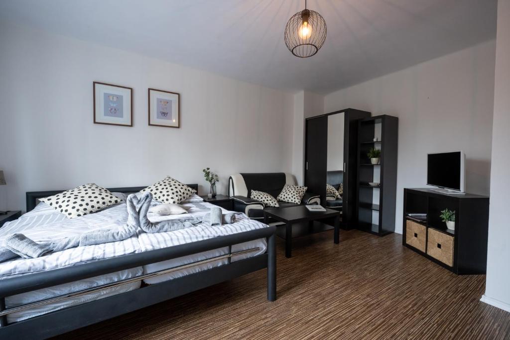 TV a/nebo společenská místnost v ubytování Apartmány Lanna