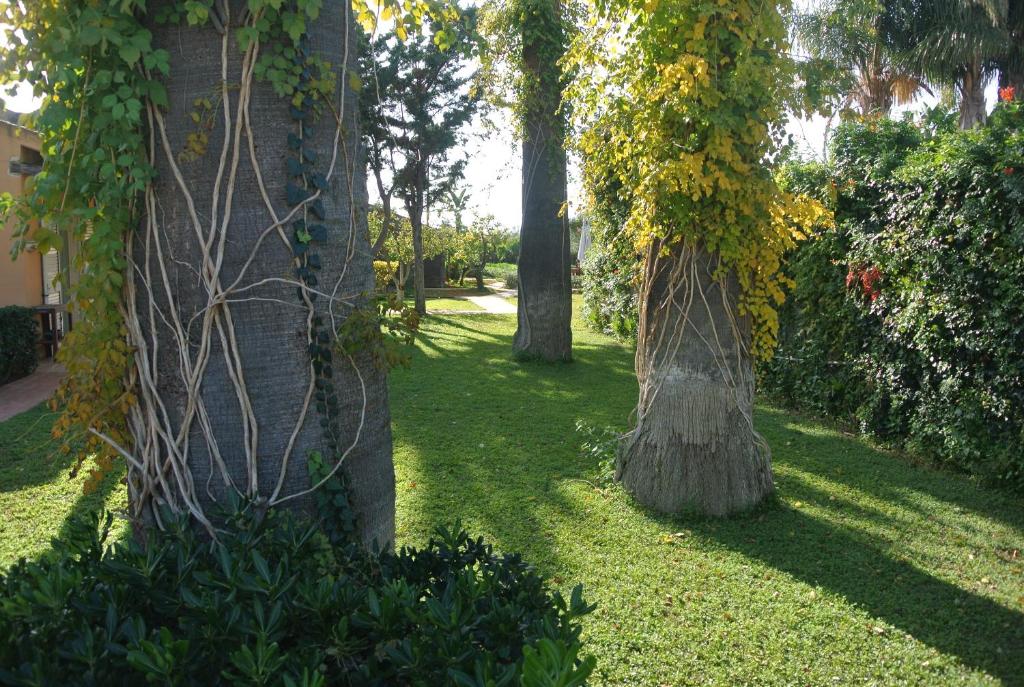 Zahrada ubytování Villa Carlotta Resort