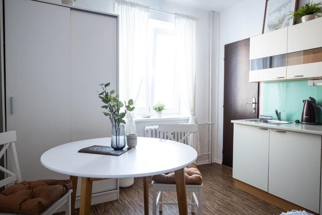 Kuchyň nebo kuchyňský kout v ubytování Apartmány Lanna