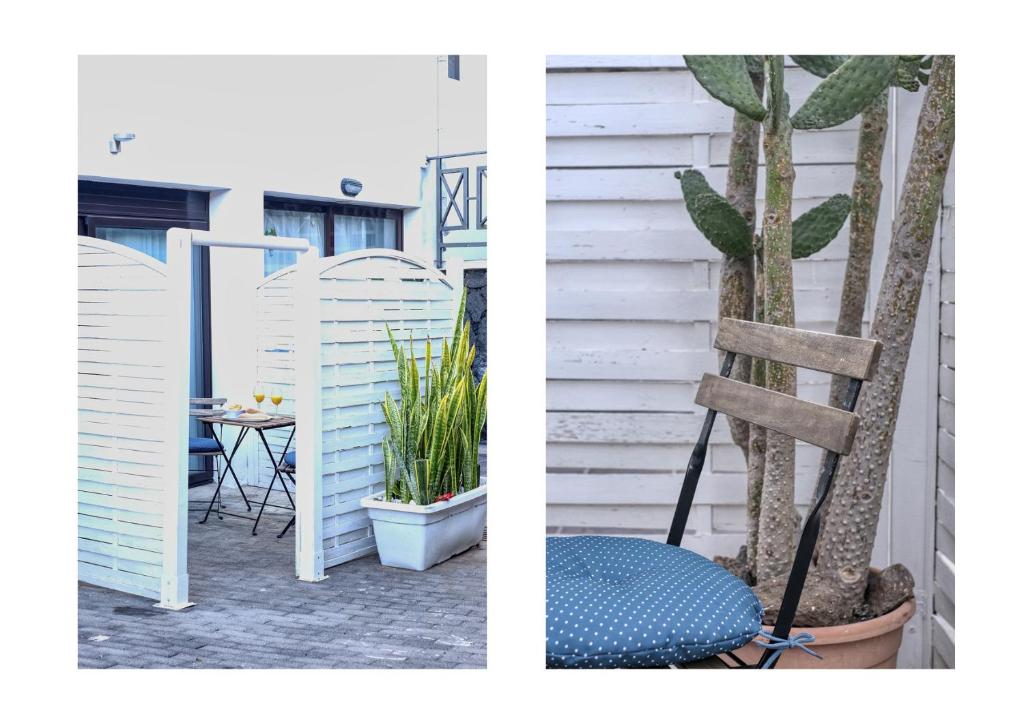 dwa zdjęcia krzesła i rośliny w obiekcie Studio Etna-near Playa Flamingo w mieście Playa Blanca