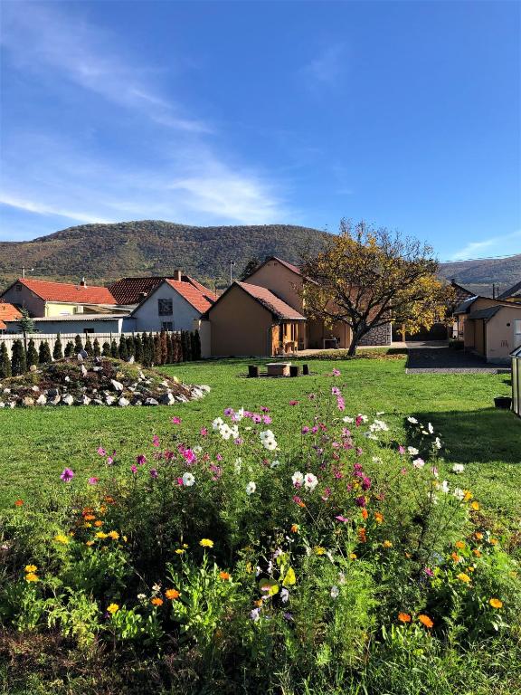 a field of flowers in a yard with houses at Panoráma Apartman Felsötárkány in Felsőtárkány