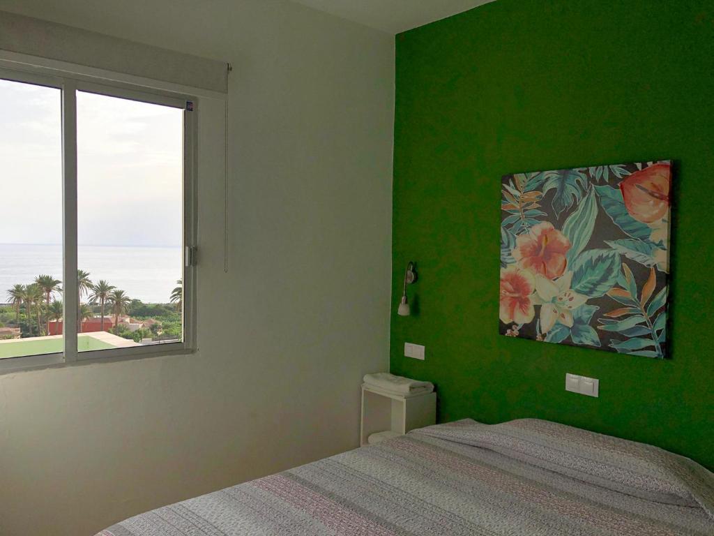 a bedroom with a green wall with a bed and a window at Apartamentos Concha in Valle Gran Rey