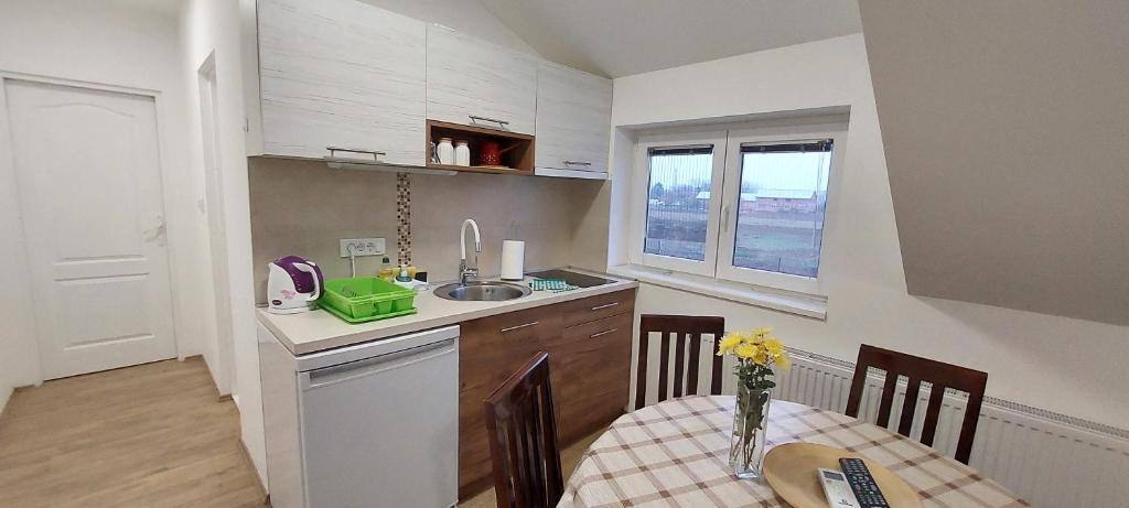 Kuchyň nebo kuchyňský kout v ubytování ANA Apartment