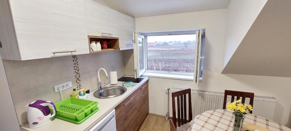 Kuchyň nebo kuchyňský kout v ubytování ANA Apartment
