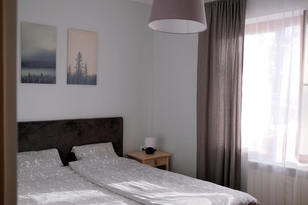 Posteľ alebo postele v izbe v ubytovaní Pająkówka Apartament I