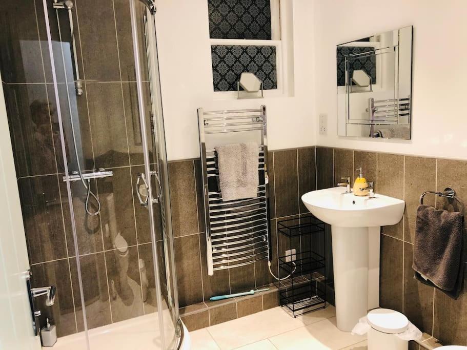 a bathroom with a shower and a sink and a toilet at Hideaway between Coast and Moors in a beautiful Village apartment in Sleights