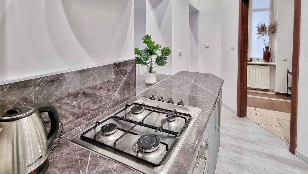 Kuchyňa alebo kuchynka v ubytovaní Apartament Kaczyniec 10