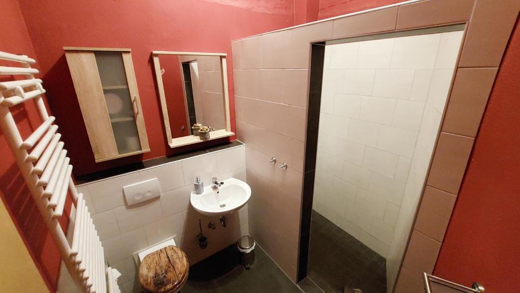 Spreewald Spreemilia Gurkenbude - 5