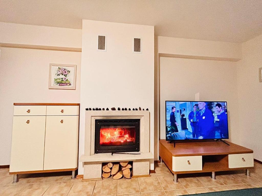 sala de estar con TV y chimenea en Free SPA Pirin lodge cosy apartment en Bansko