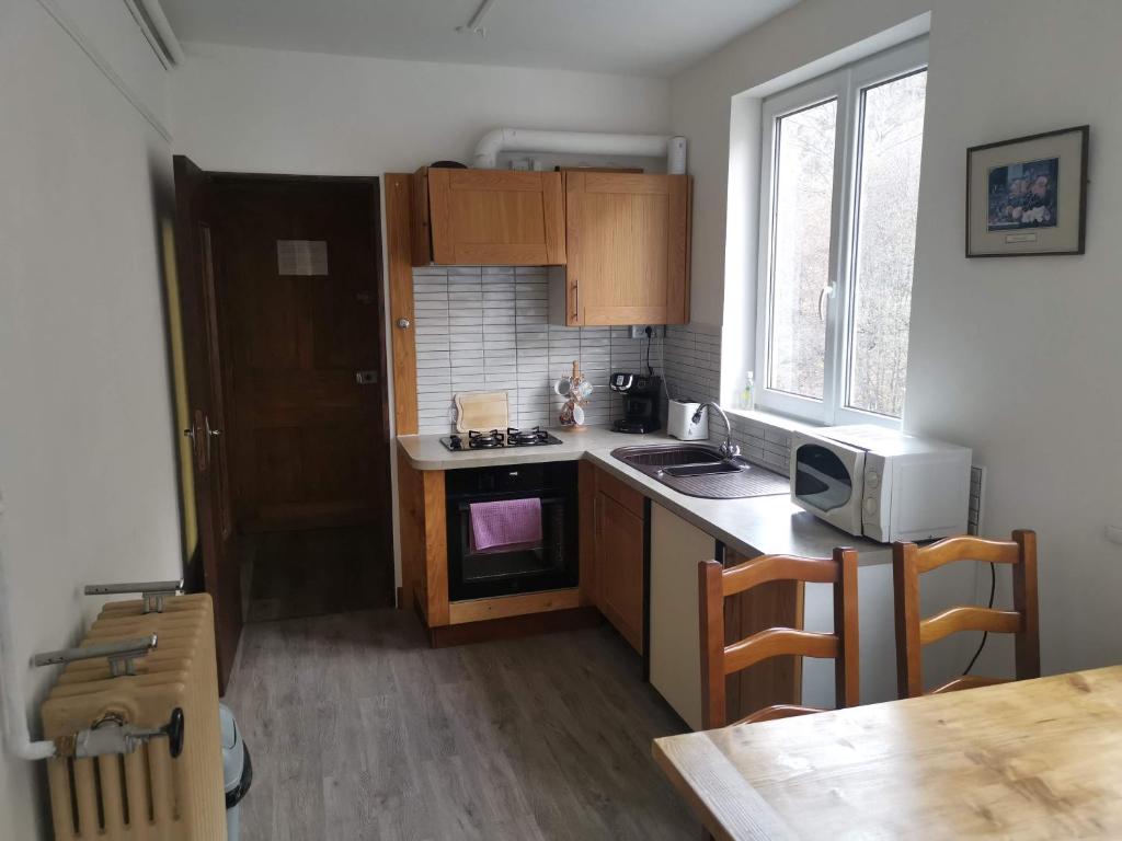 Kuchyň nebo kuchyňský kout v ubytování Appartements au bord de la rivière