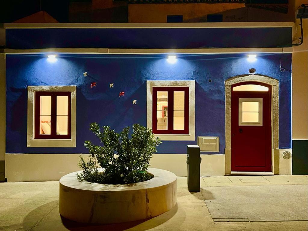 4Bs - Birds & Bicycles - 19