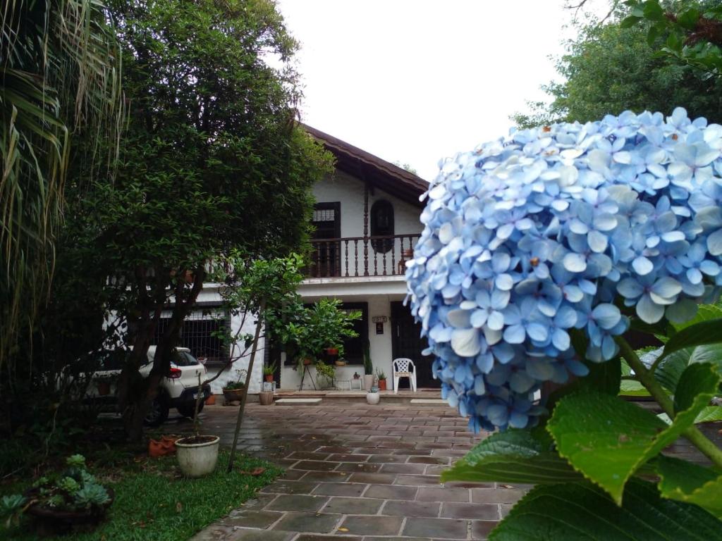 una gran flor azul delante de una casa en Vó Janete Haus, en Gramado