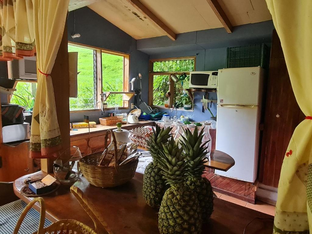 Kuchyň nebo kuchyňský kout v ubytování Finca Terra Viva