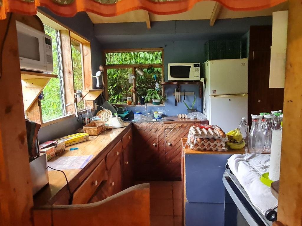 Kuchyň nebo kuchyňský kout v ubytování Finca Terra Viva