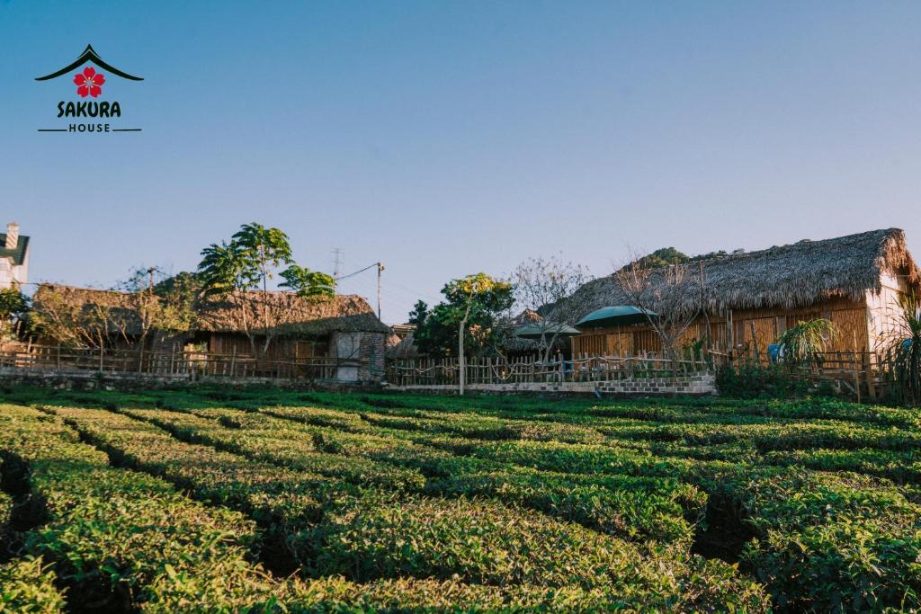 SAKURA House - Vườn Đào
