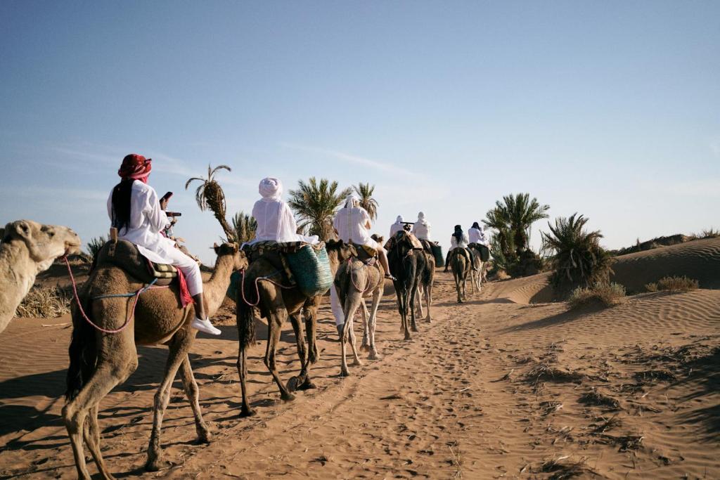 a group of people riding camels in the desert at CameLuxe Camp in Mhamid