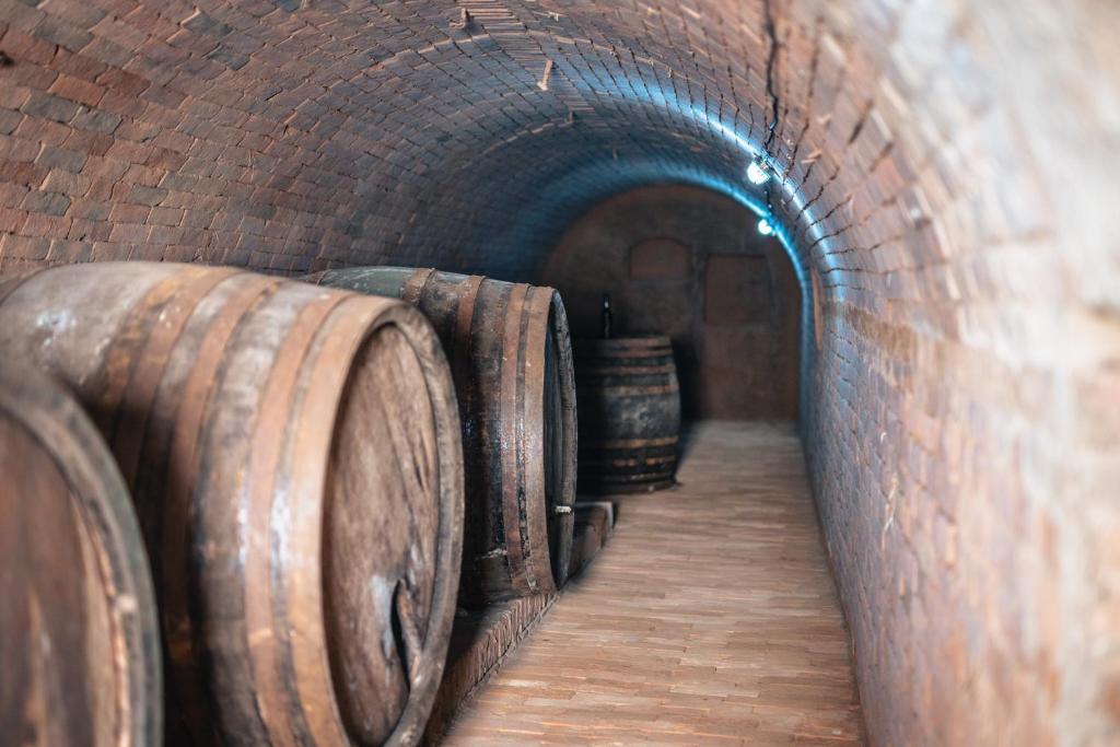 Fotografie z fotogalerie ubytování Winzerhof Küssler - Weinviertel v destinaci Stillfried
