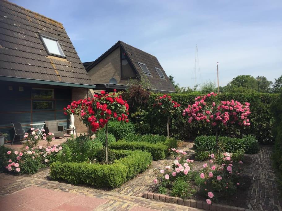 a garden of roses and bushes in front of a house at Near Amsterdam, The Hague, Leiden and North Sea in Warmond