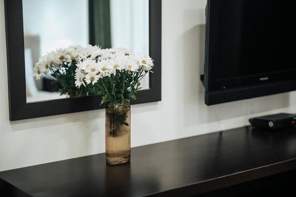 TV a/nebo společenská místnost v ubytování Apart Hotel GH