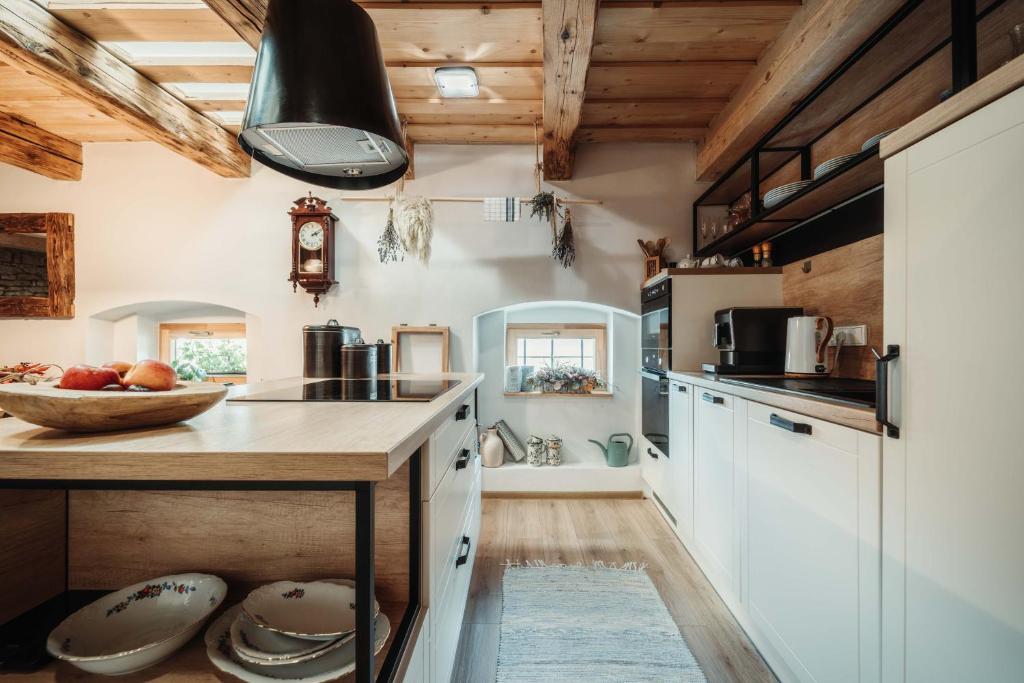 Kuchyň nebo kuchyňský kout v ubytování ČÁKYHO KÚRIA - mezonetový apartmán s krbom a saunami