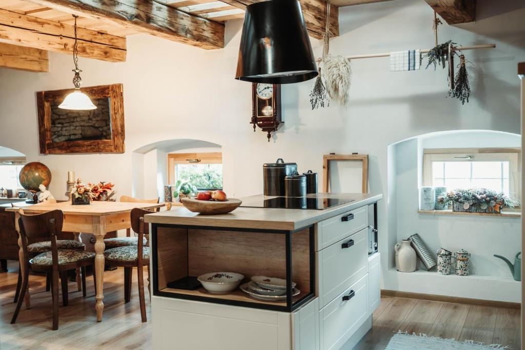 Kuchyň nebo kuchyňský kout v ubytování ČÁKYHO KÚRIA - mezonetový apartmán s krbom a saunami